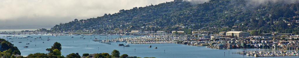 Sausalito from Strawberry