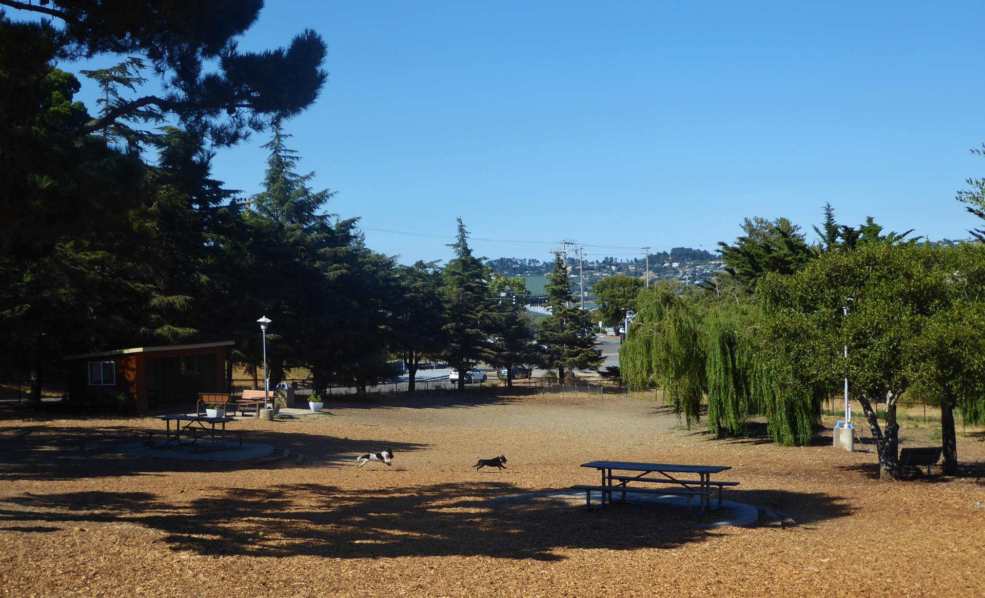 Remigton Dog Park