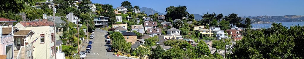 Sausalito hillside